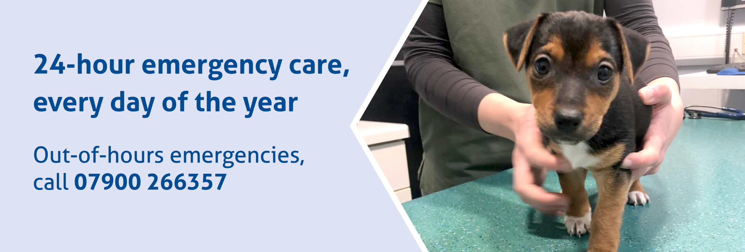 24 hour emergency care every day of the year. Call: 07900 266357.